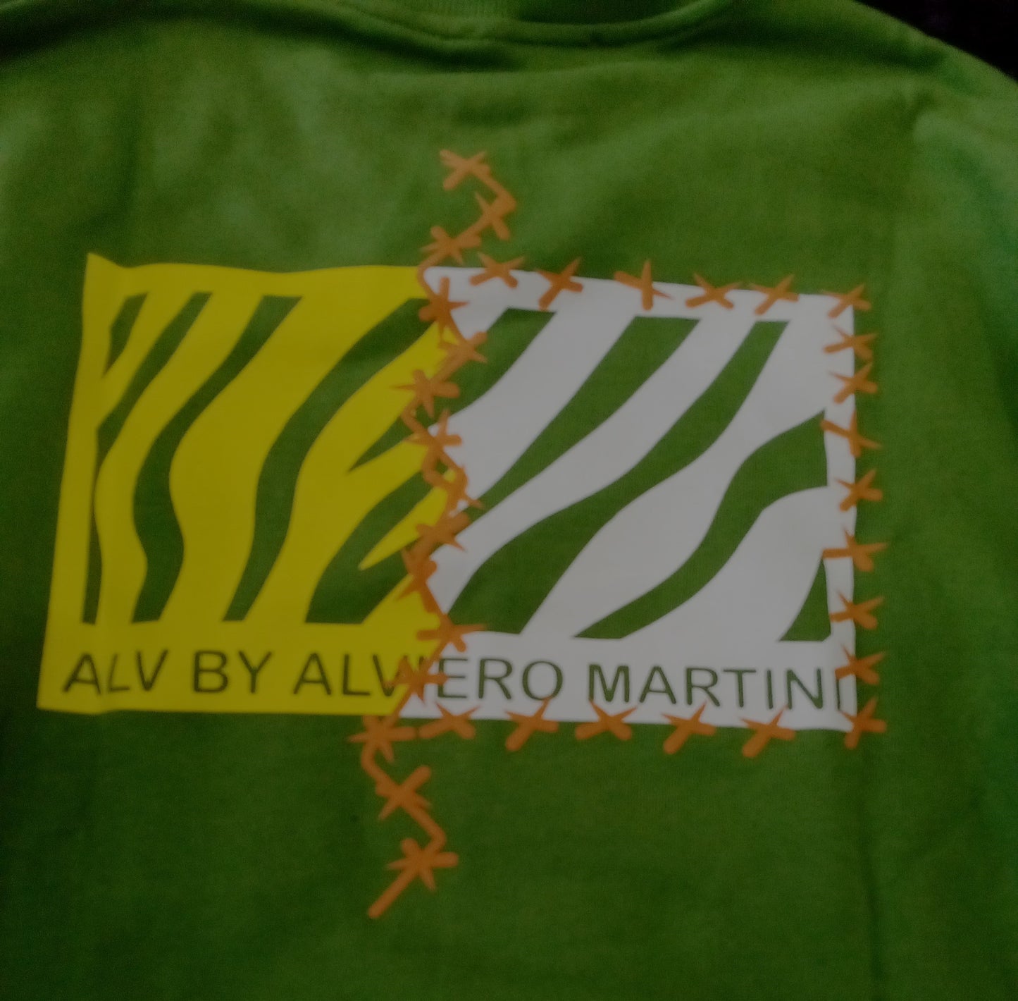 FELPA ALVIERO MARTINI COLLEZIONE ALV