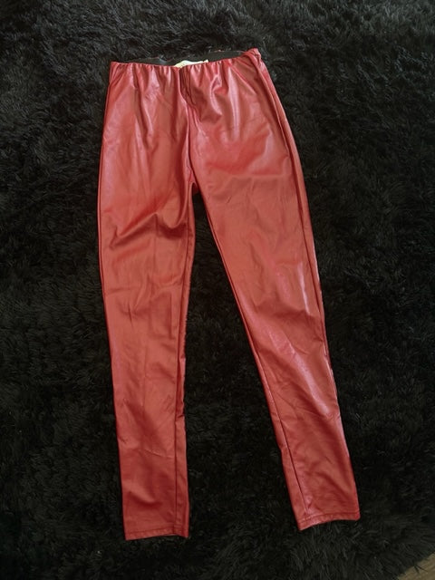 LEGGINS IN PELLE SILVIAN HEACH